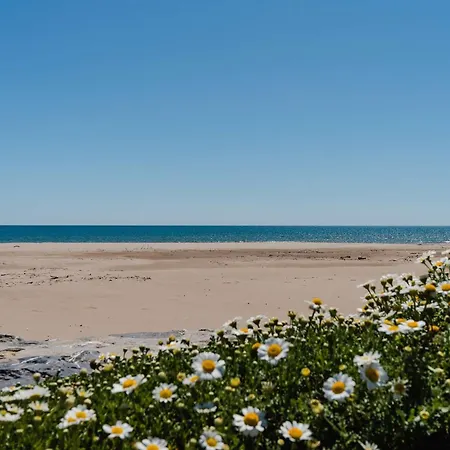 Pavillon 2 Pieces Avec Mezzanine, Animaux Et Parking, Proche - Fr-1-409-95 Βίλα Narbonne-Plage